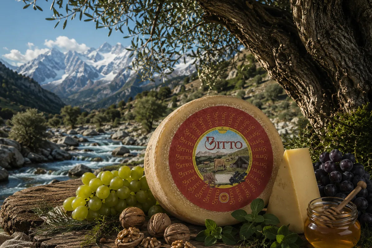 Wheel of Bitto DOP alpine cheese aging in a traditional stone cellar in Valtellina, Lombardy — DOP certified, aged up to 18 years