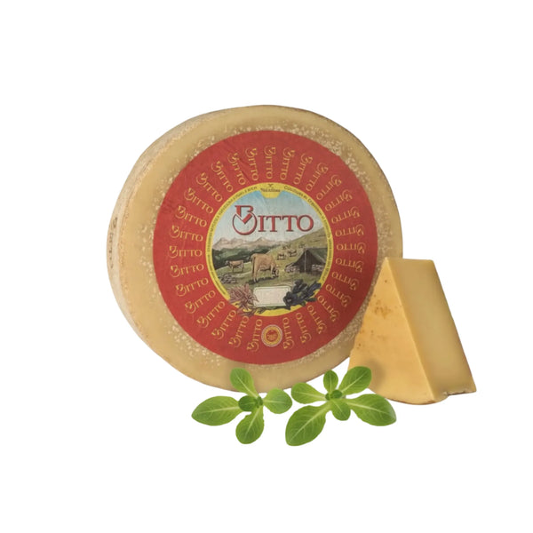 Formaggio Bitto DOP su sfondo bianco