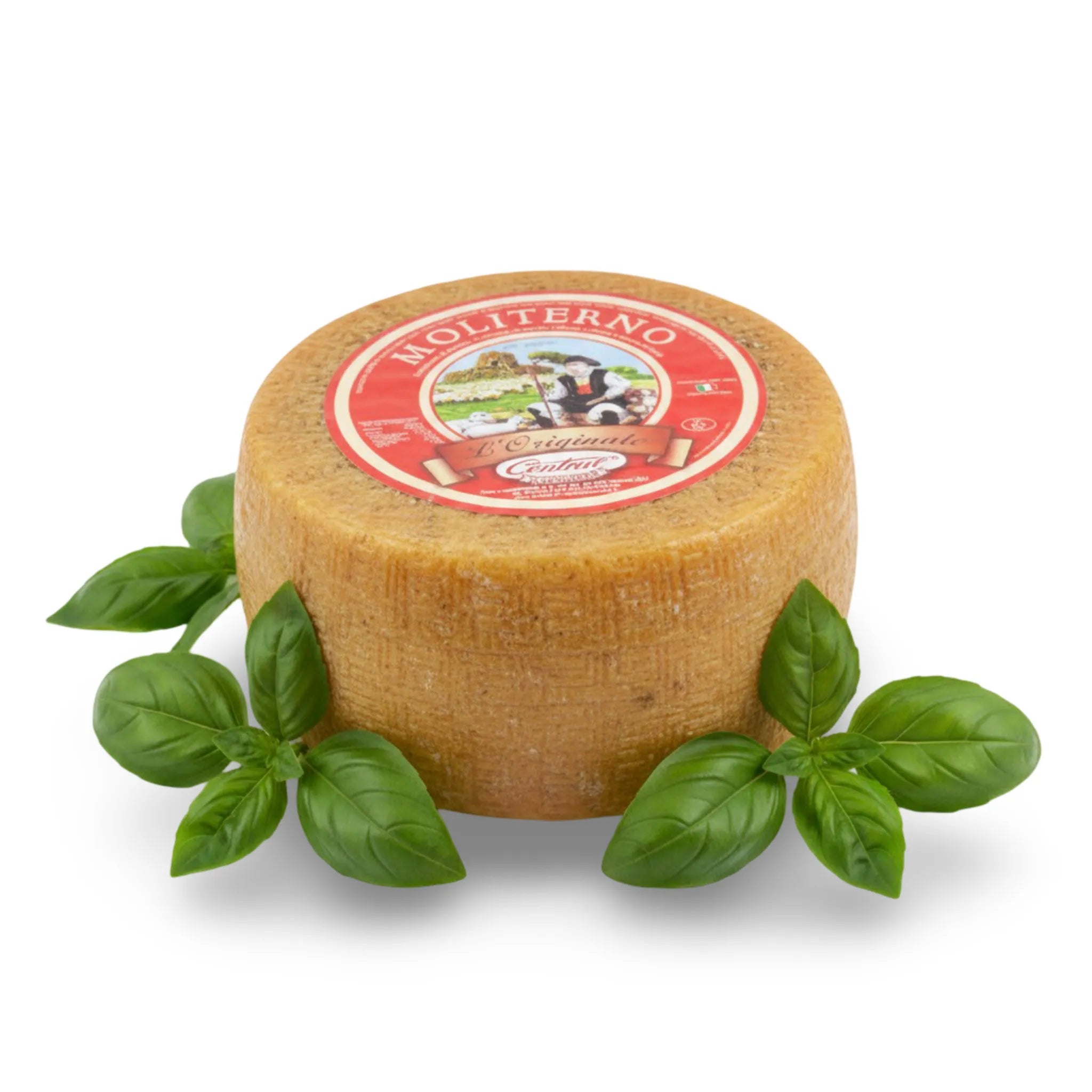 Pecorino Moliterno su sfondo bianco