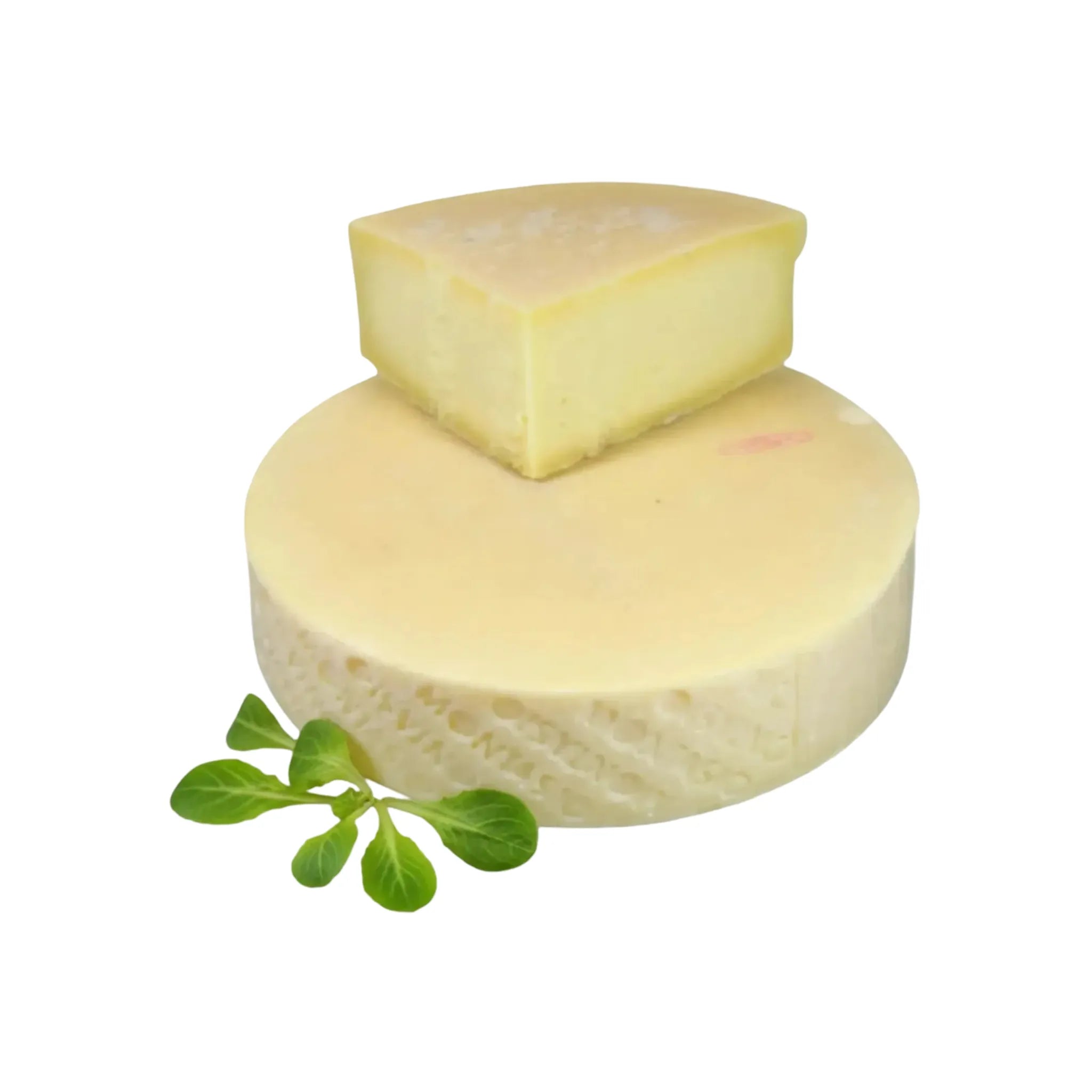 Formaggio Montasio DOP di qualità italiana Gustarivo