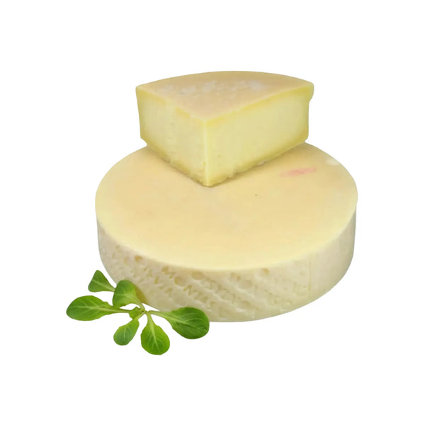 Formaggio Montasio DOP di qualità italiana Gustarivo